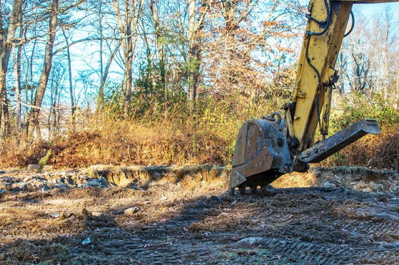 Lot Clearing In Pasadena, MD - Nationwide Tree Services