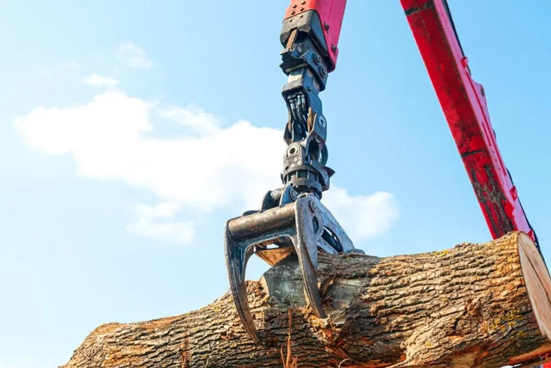 Tree Removal - Nationwide Tree Service | Free Quote