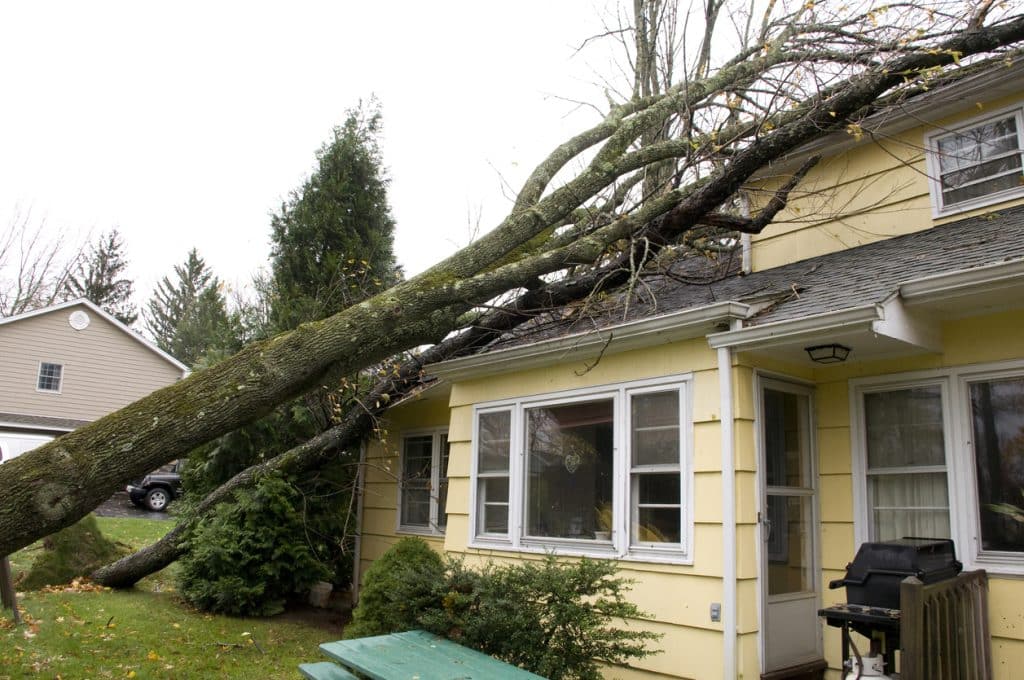 Residential home damage caused by trees falling on roof, a result of the high velocity winds of Hurricane.