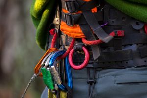 Close-up of a person's waist wearing a climbing harness with carabiners and climbing gear attached. tree contractors