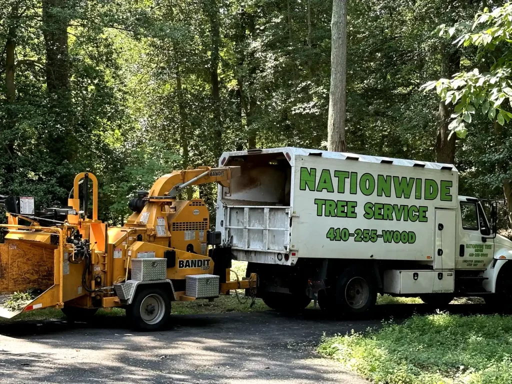 A truck labeled "Nationwide Tree Service" is parked in a forested area beside yellow equipment.