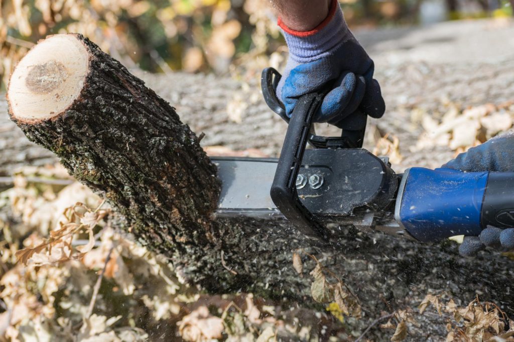 Close-up of gloved hands using a chainsaw to cut a tree branch outdoors.