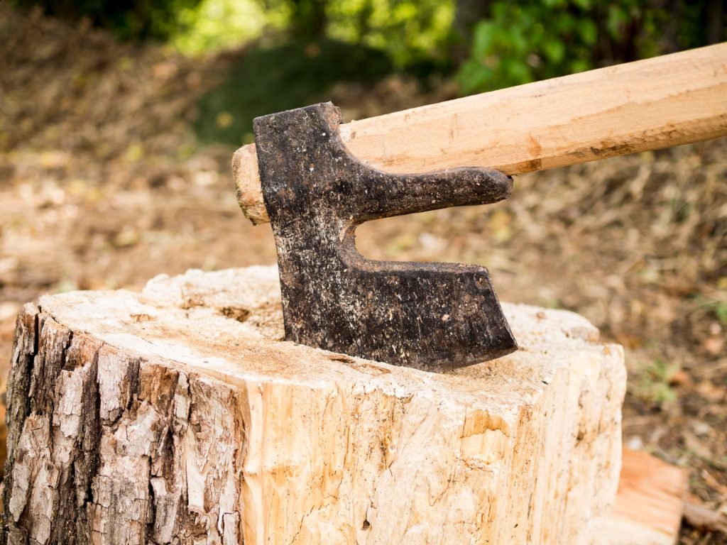 A weathered axe embedded in a tree stump outdoors, with blurred foliage in the background.