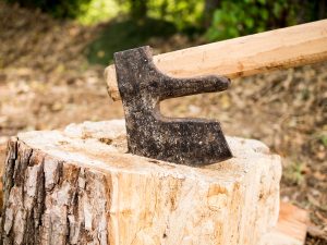 A weathered axe embedded in a tree stump outdoors, with blurred foliage in the background.